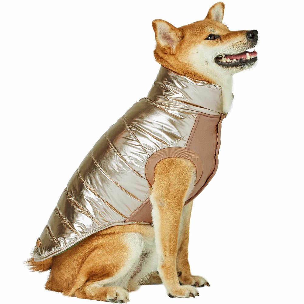 Blueberry Pet polyester padding provides warmth without bulk