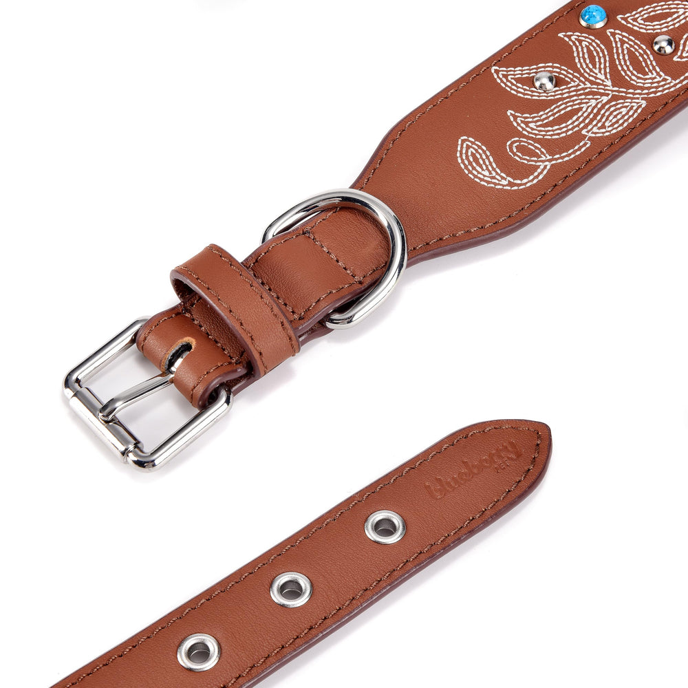 Blueberry Pet reinforced-d-ring collar provides reliable leash attachment during outdoor play.