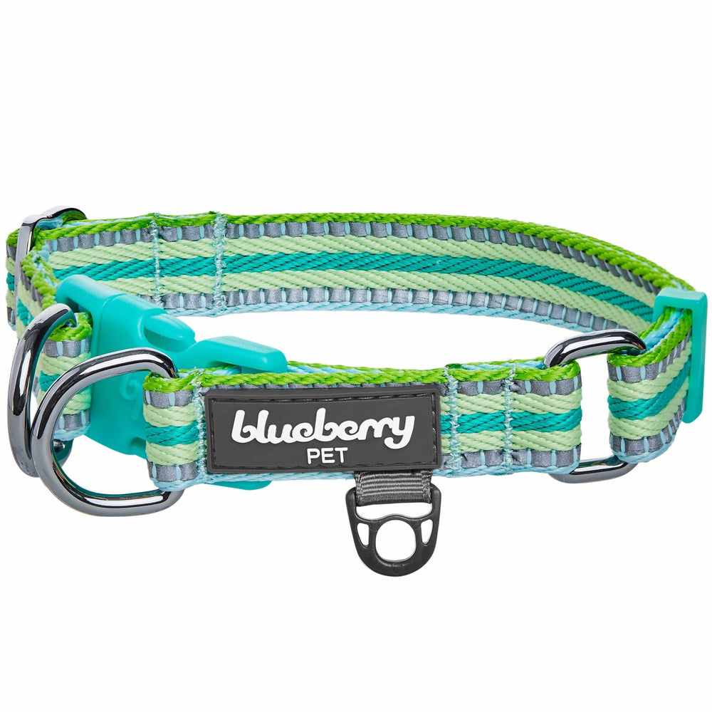 Blueberry Pet safety dog collar with dual D-Rings offers extra security during walks.