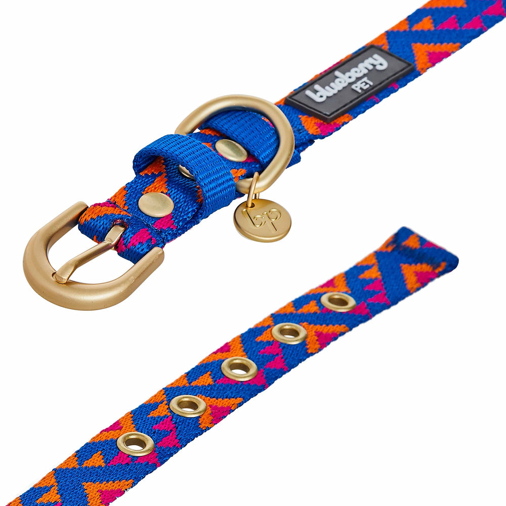 Blueberry Pet safety reminder about supervising a dog wearing a collar