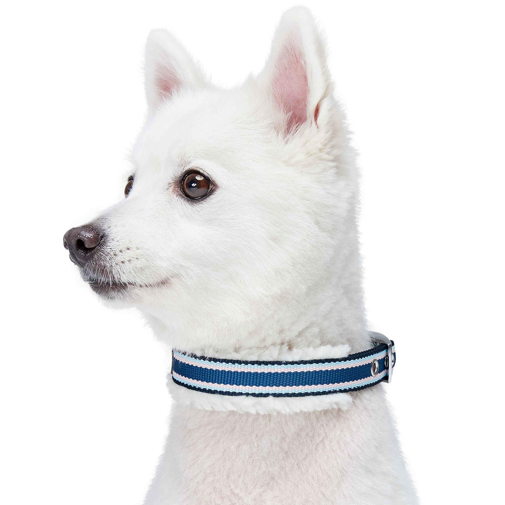 Blueberry Pet sherpa padding close-up highlights cushioned neck support.