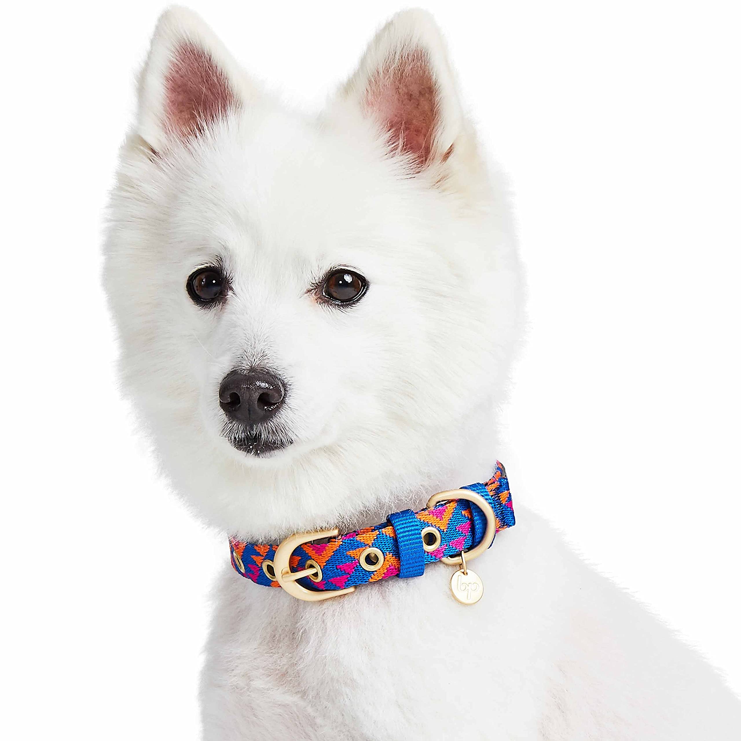 Blueberry Pet size guide image showing neck 17-20.5 inches fit