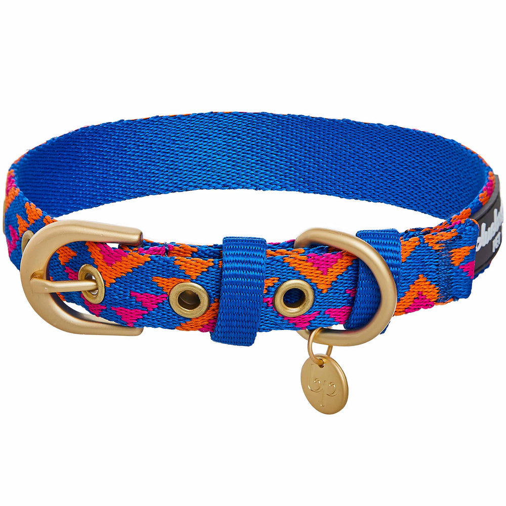Blueberry Pet collar closeup showing durable nylon for daily walks