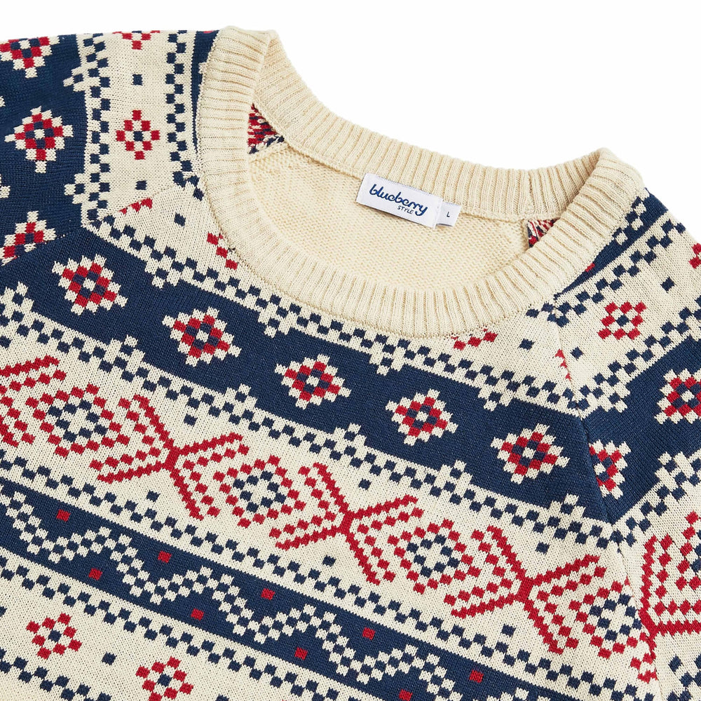 Blueberry Pet Style Fair Isle Sweater care-ready packaging with machine-wash guidance