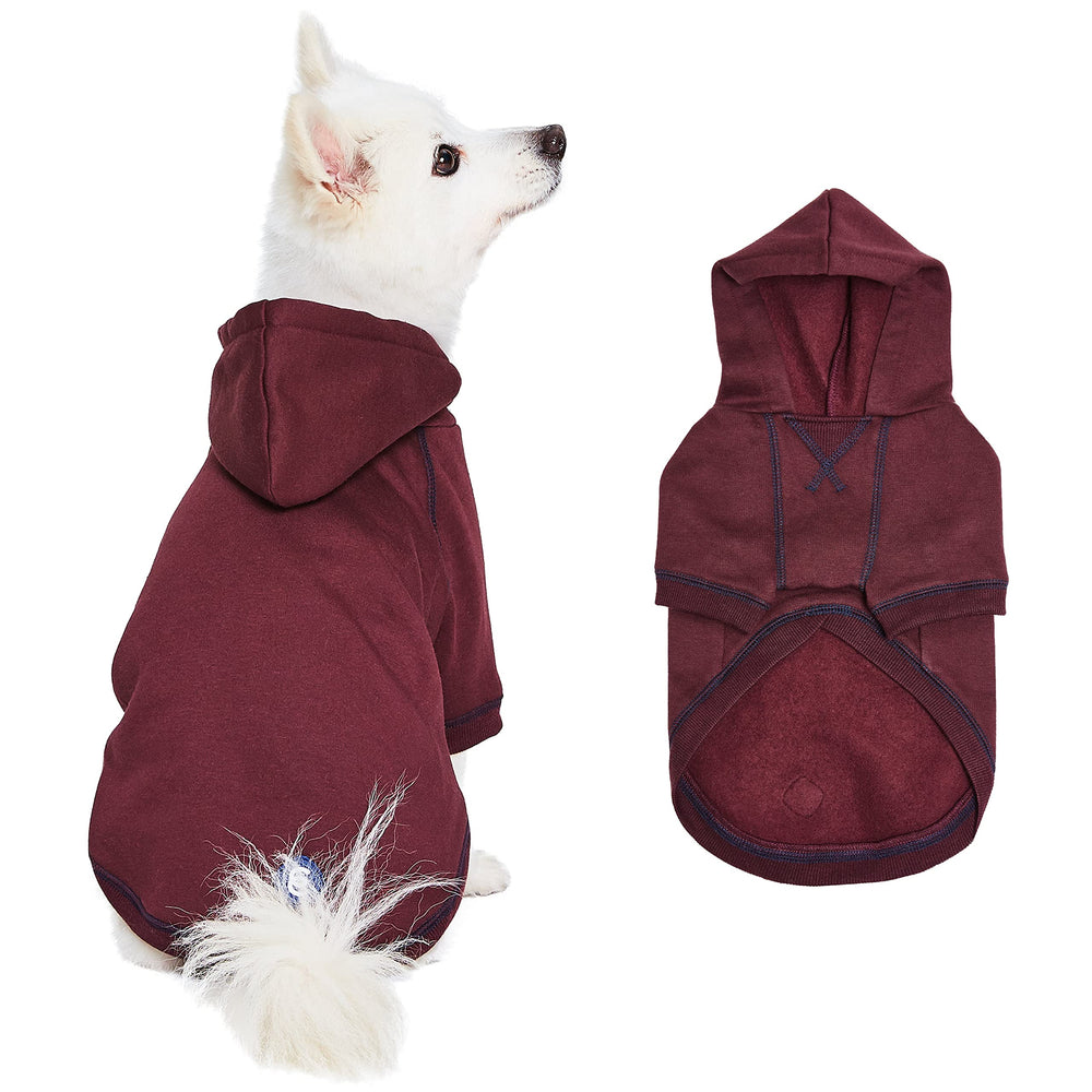 Blueberry Pet sudadera con capucha frontal, ideal para paseos en clima fresco