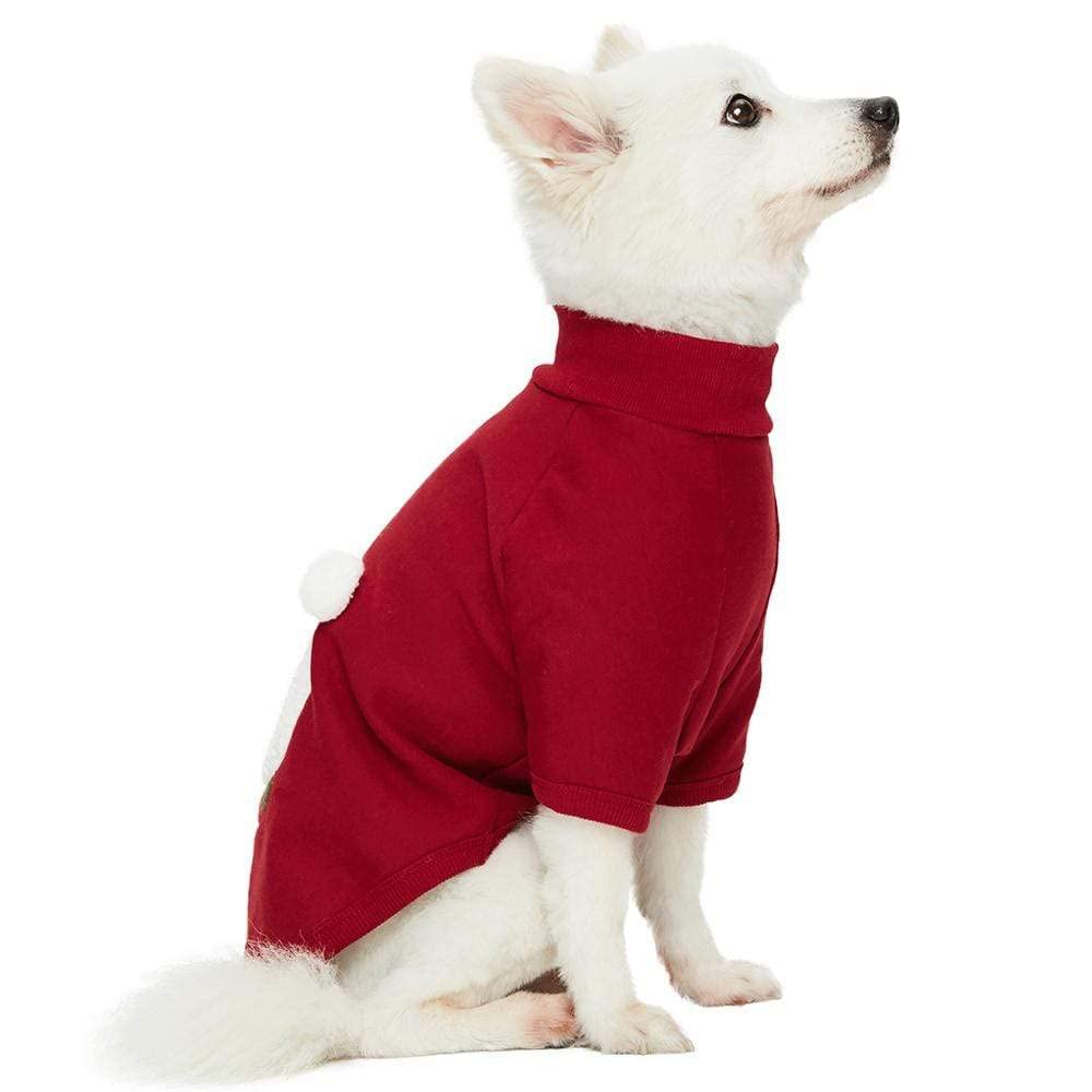 Blueberry Pet weather-ready fabric enhances rainy days and chilly walks.