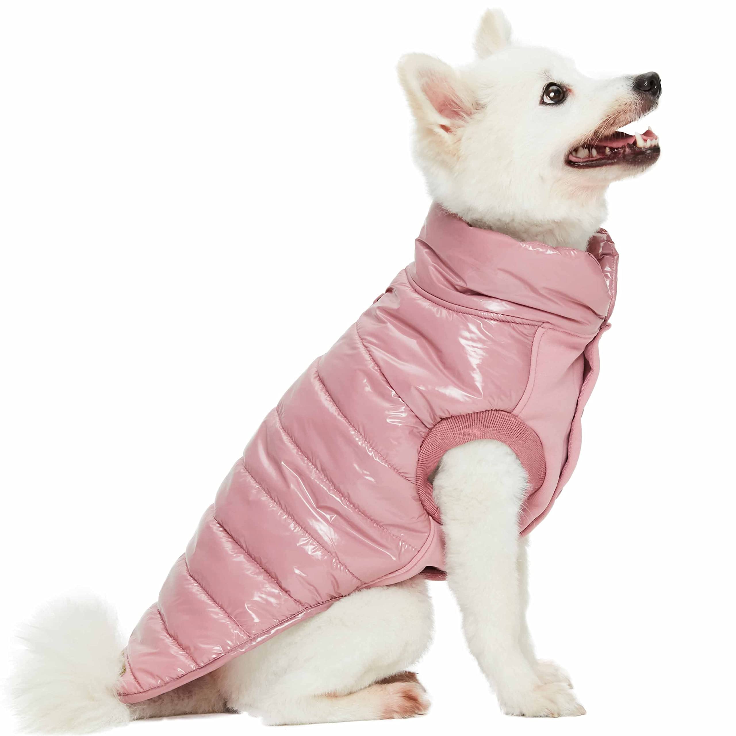 Blueberry Pet padded interior provides cozy insulation