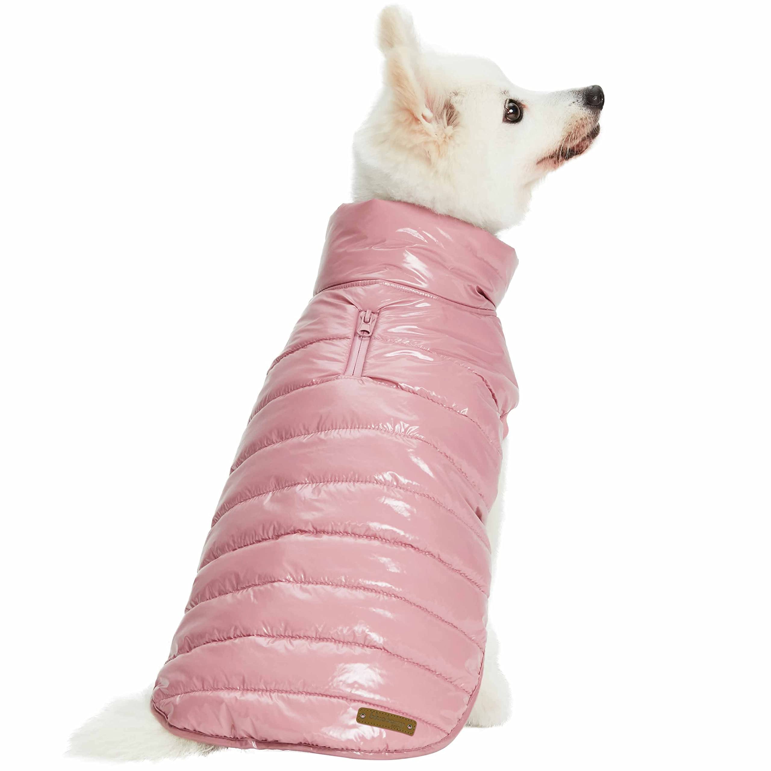Blueberry Pet jacket worn by dog on leash during walk
