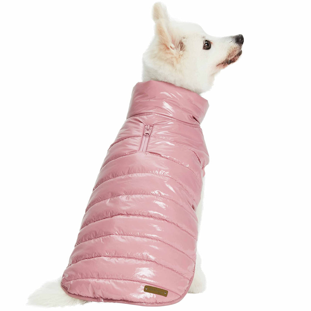 Blueberry Pet jacket worn by dog on leash during walk