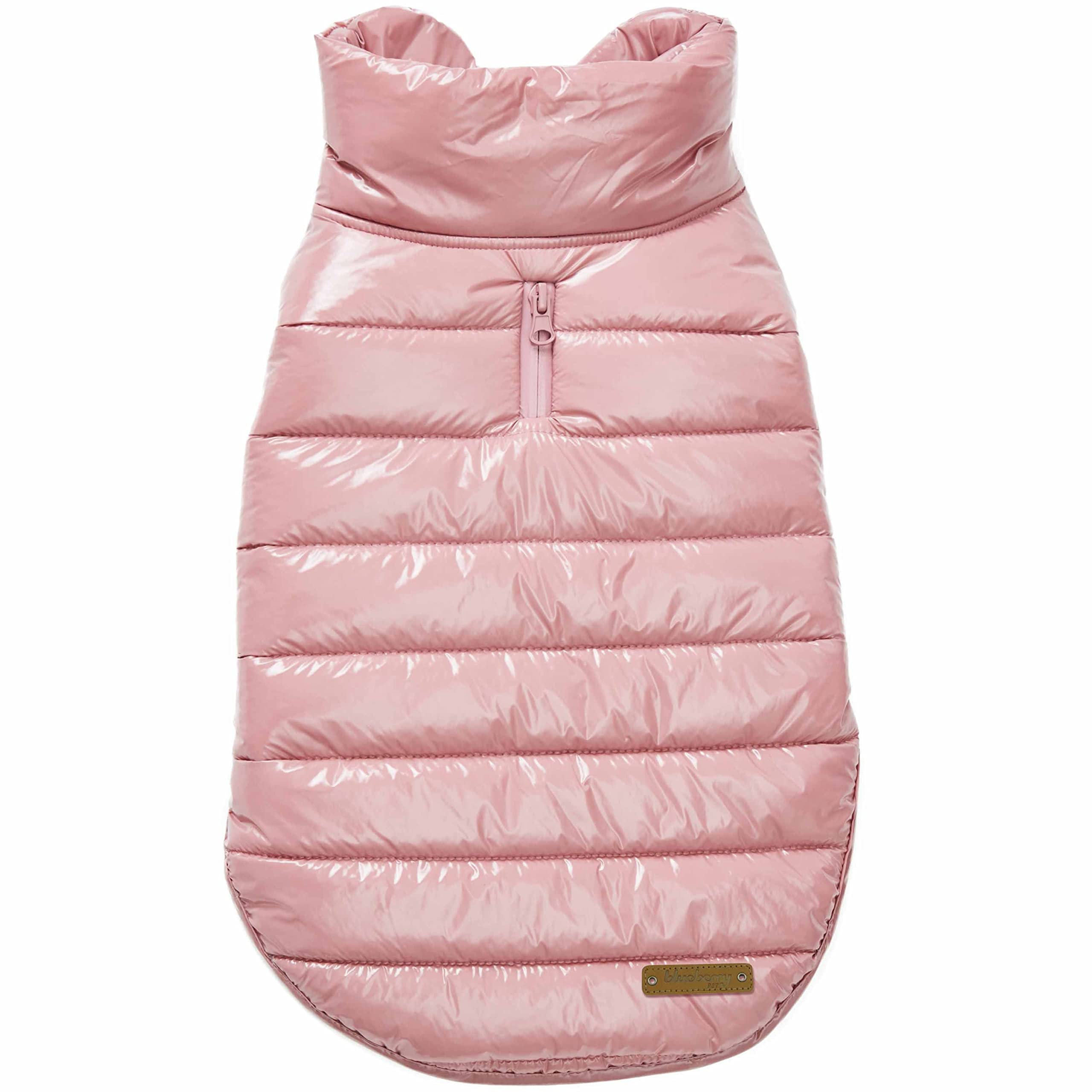 Blueberry Pet windproof quilted jacket back view highlighting warm protection for cold walks