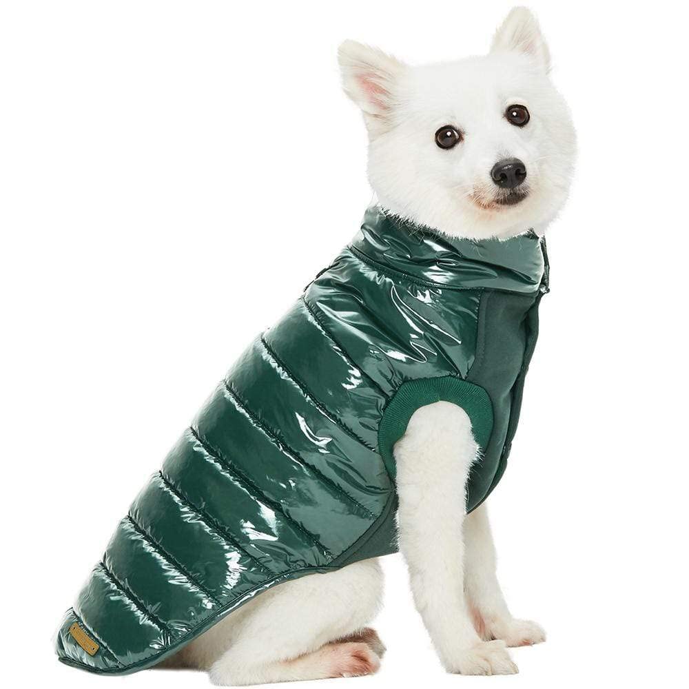 Blueberry Pet windproof warm coat provides mobility with no sleeves for active dogs.