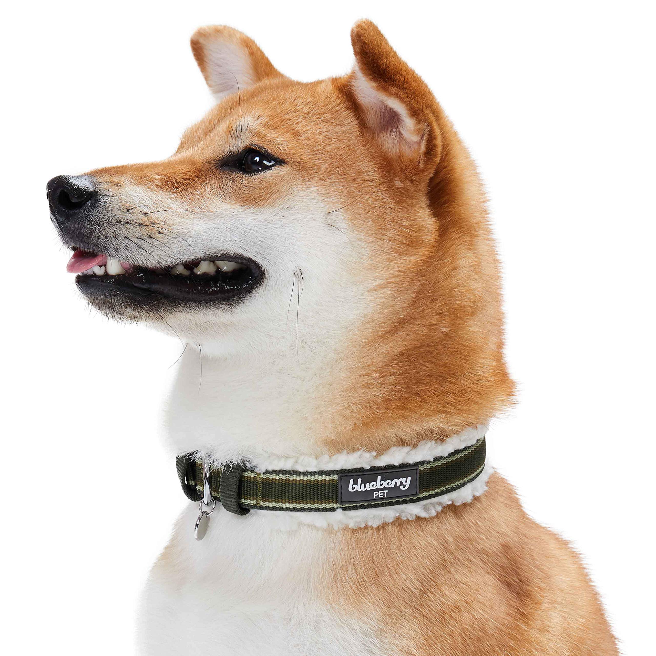 Blueberry Pet wipe-clean collar for quick maintenance after walks.