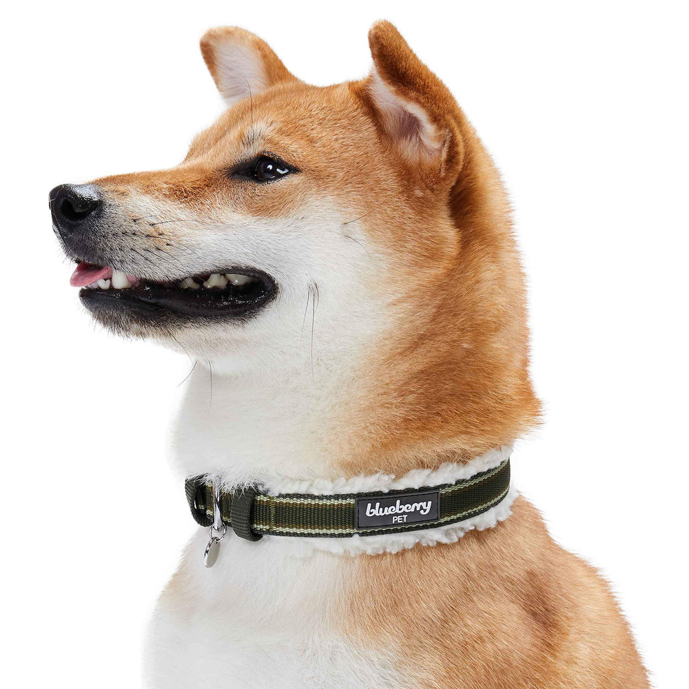 Blueberry Pet wipe-clean collar for quick maintenance after walks.