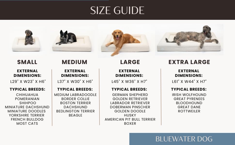 Bluewater Dog bed with carrying handle design for easy transport