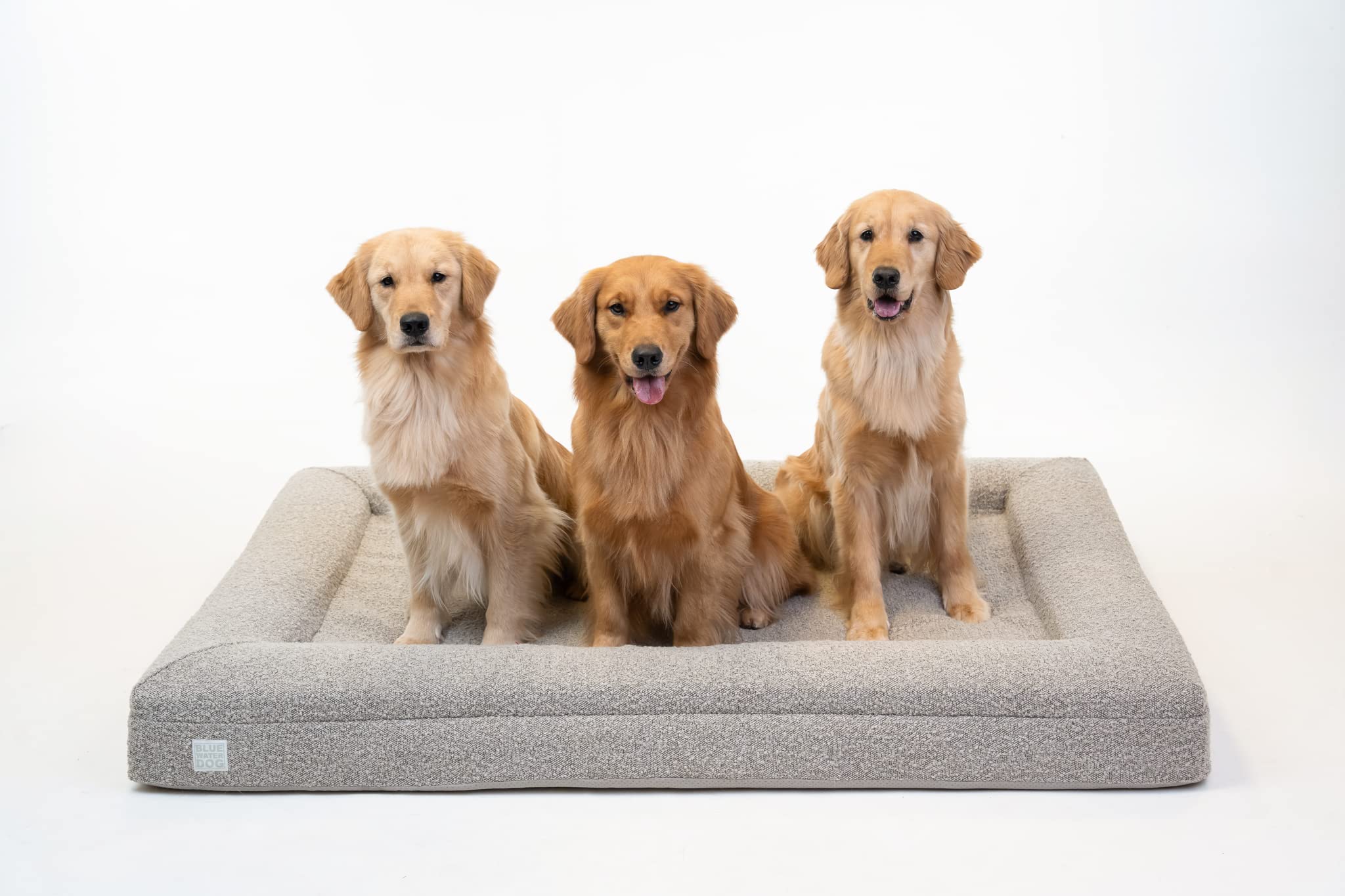Bluewater Dog Bed back view with transport handle for easy movement