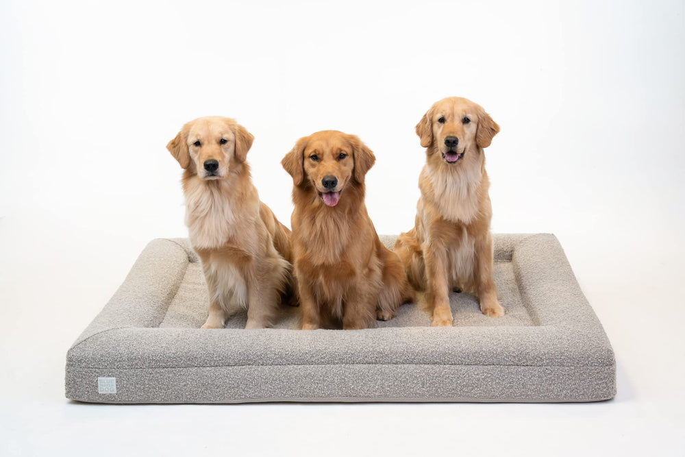 Bluewater Dog Bed back view with transport handle for easy movement