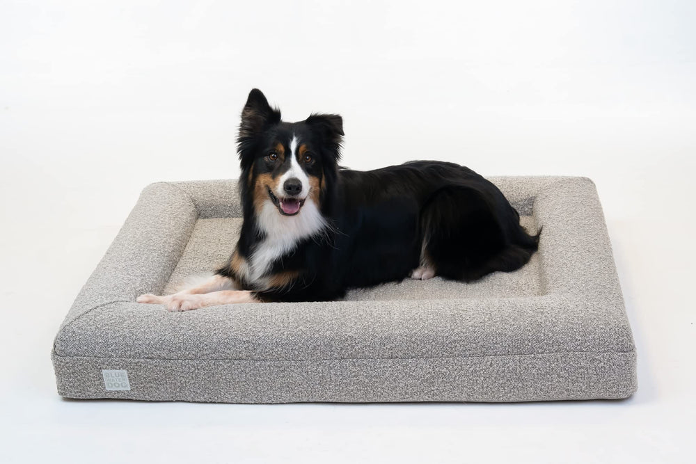 Bluewater Dog bed handle enables easy transport between rooms or cars.