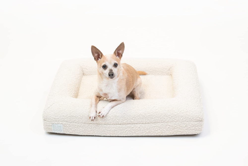 Bluewater Dog zippers from recycled plastic, durable.