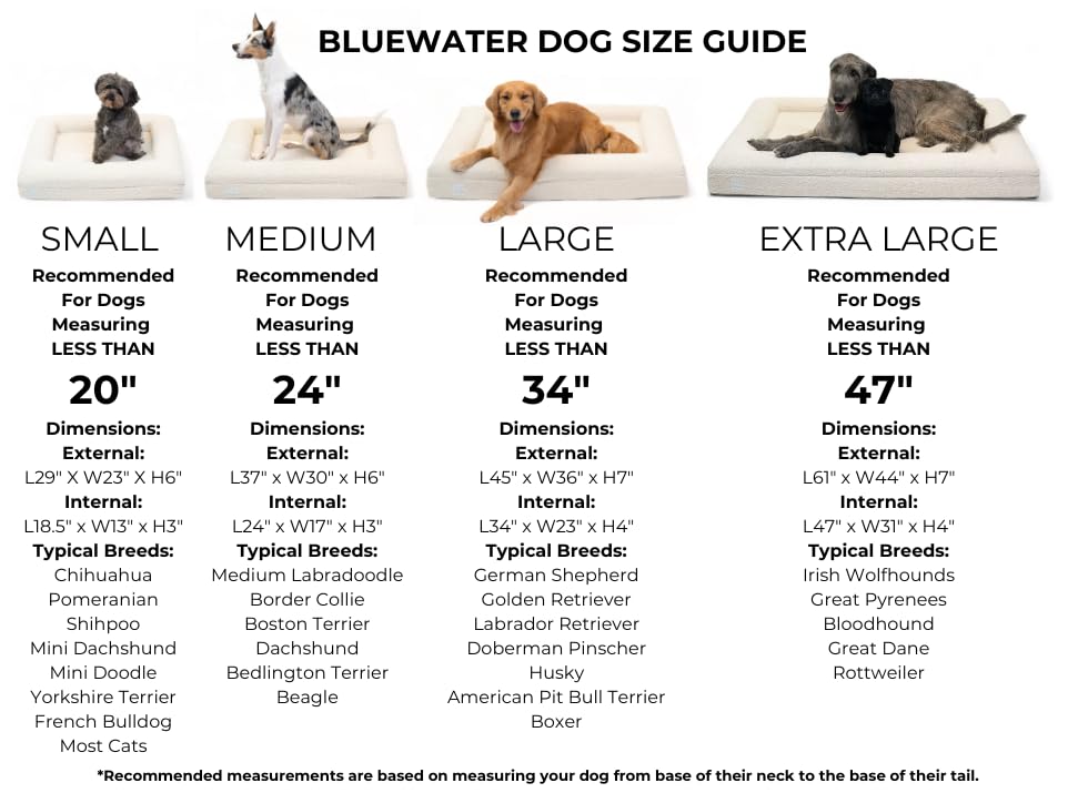 Bluewater Dog boucle cover texture highlights stylish, cozy design for living spaces.