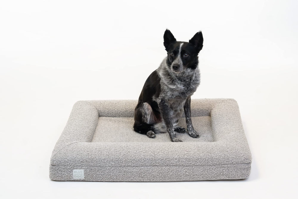 Bluewater Dog boucle fabric detail highlighting stylish, durable exterior.