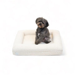 Bluewater Dog luxury boucle bed cloud closeup for cozy naps.