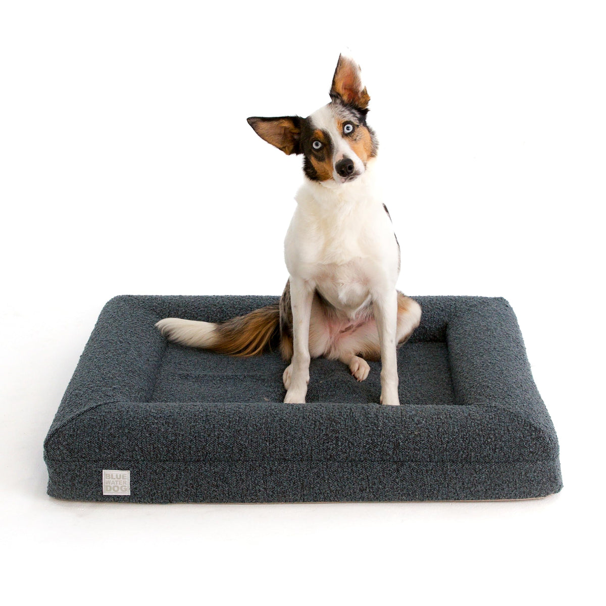 Bluewater Dog luxury boucle bed cover shown for cozy lounging and style