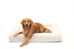 Bluewater Dog luxury boucle bed with orthopedic foam core for supportive comfort