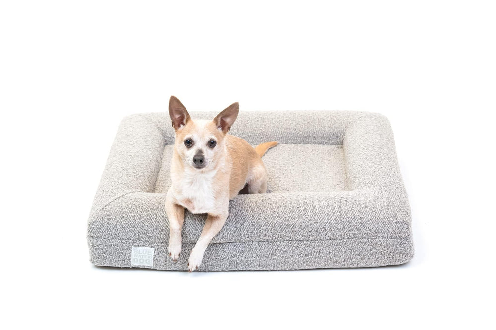 Bluewater Dog luxury boucle bed foam close-up illustrating orthopedic joint support.