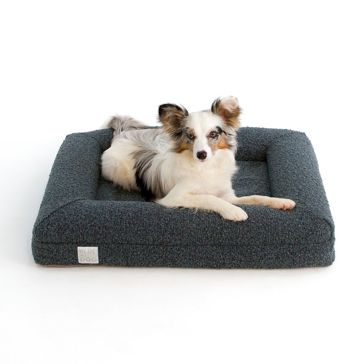 Bluewater Dog luxury boucle cover close-up for stylish, cozy lounging