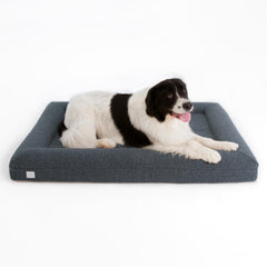 Bluewater Dog luxury boucle orthopedic bed cover showcases stylish Ocean Blue fabric for home comfort.