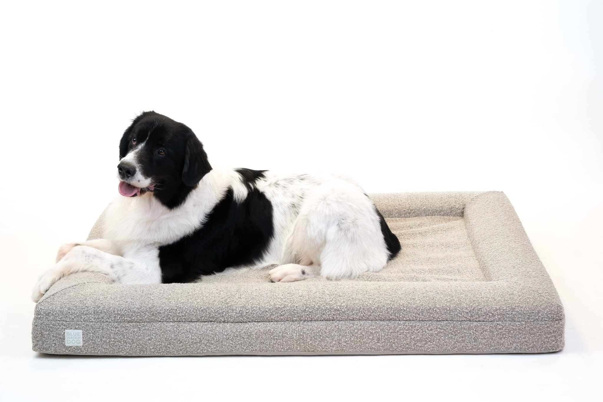 Bluewater Dog orthopedic foam detail emphasizes CertiPUR-US memory foam resilience
