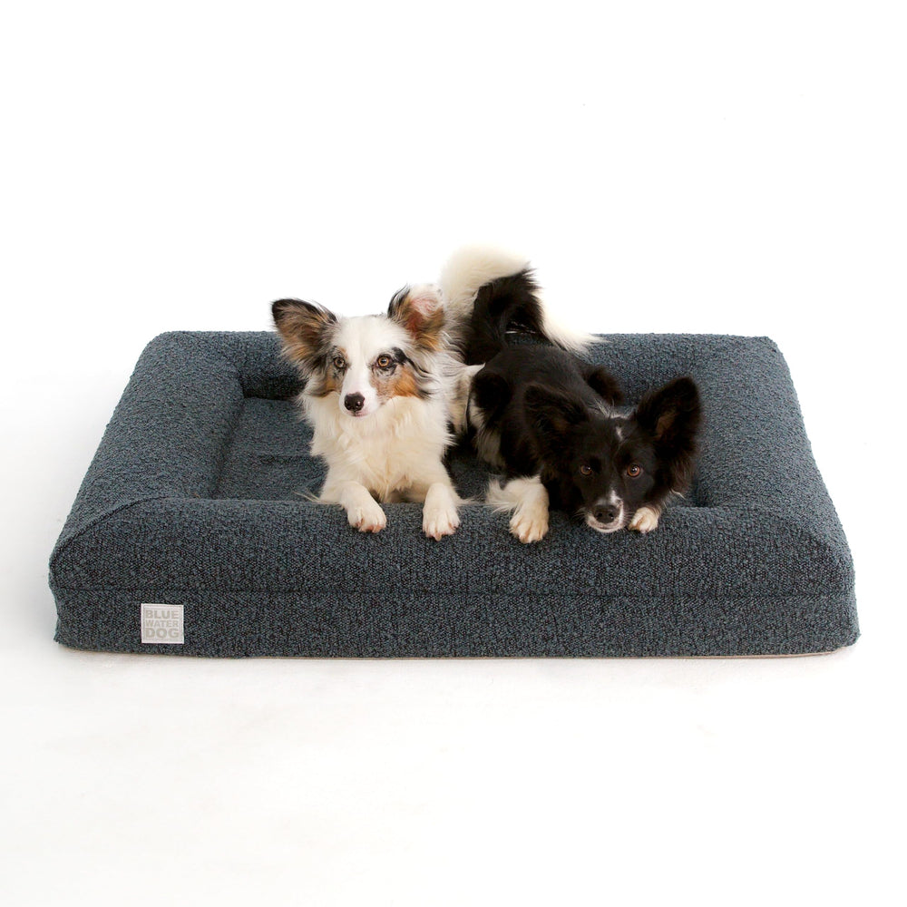 Bluewater Dog recycled plastic YKK zipper for easy access and sustainability