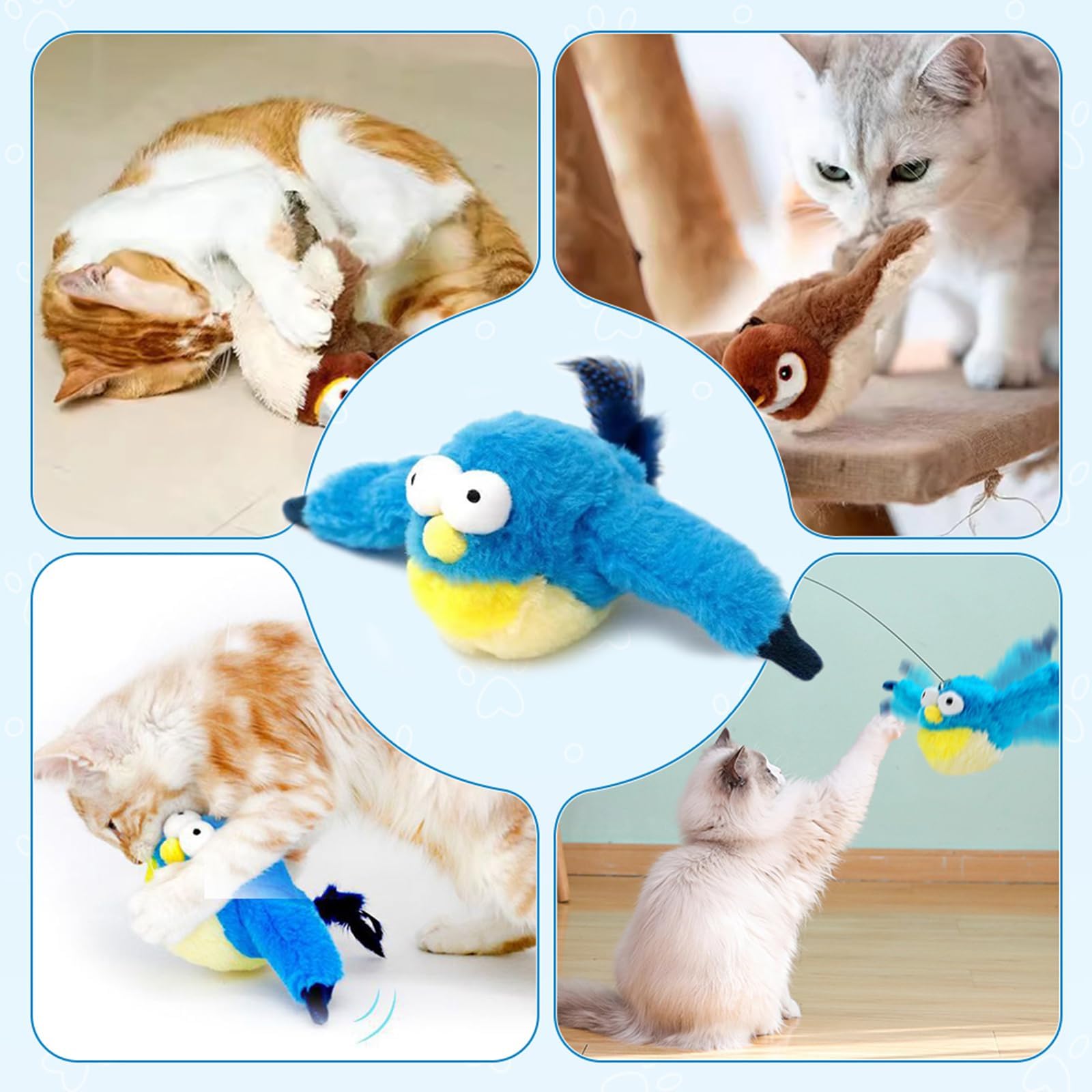 Blueypet safety tips cat toy notes safe use for pets and first-time users