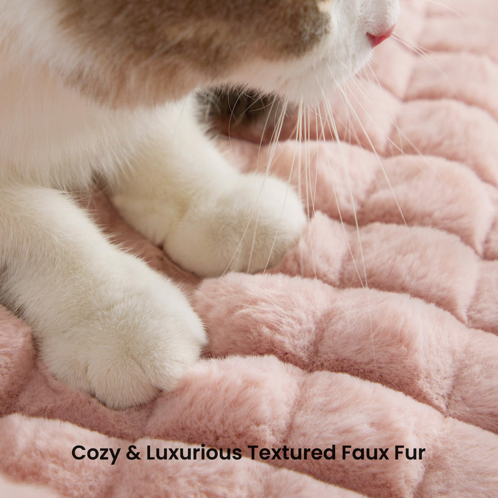blunique cat bed 24inch-spacious-design ample room to stretch
