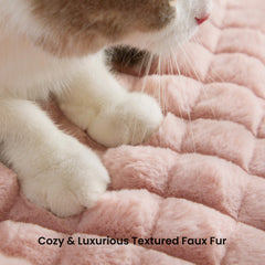 blunique cat bed 24inch-spacious-design ample room to stretch