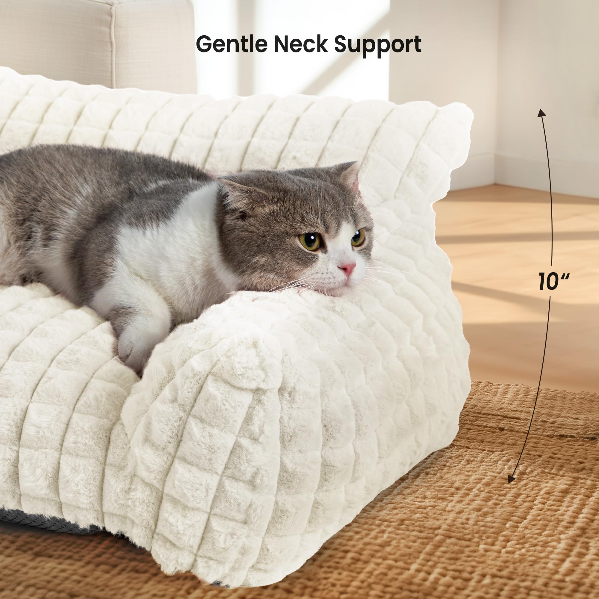 blunique cat bed bolsters support ideal for neck and head when curling.