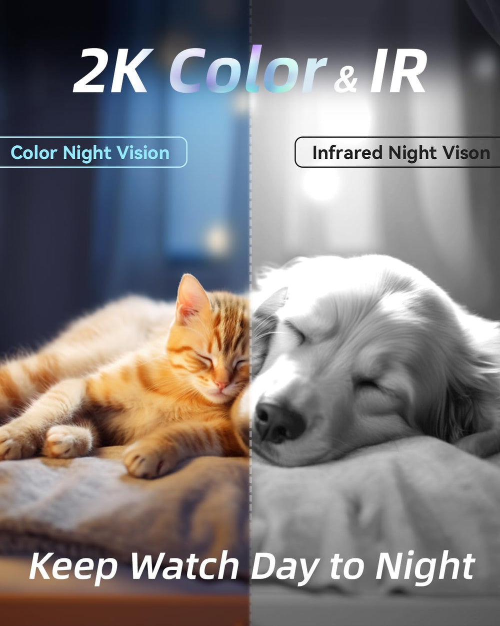 Blurams Pet Camera 2K 2-Way Talk lets you greet your pet remotely.