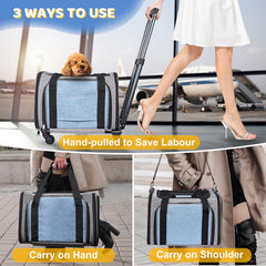 BNISE pet carrier soft interior bed highlights comfort on car trips.