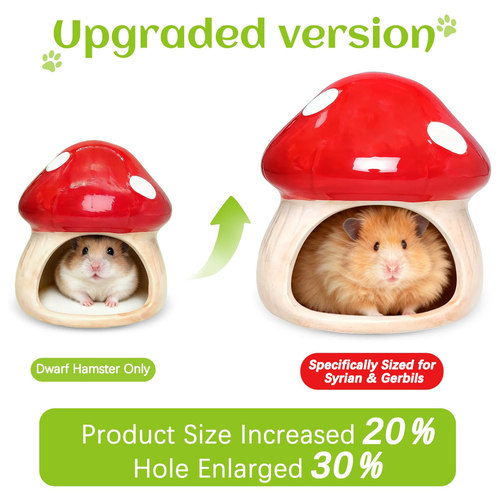 BNOSDM ceramic hamster hideout mushroom closeup shows durable ceramic stability