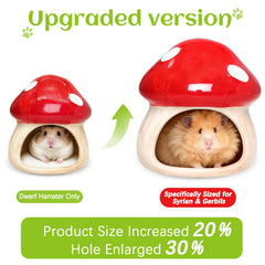 BNOSDM ceramic hamster hideout mushroom closeup shows durable ceramic stability