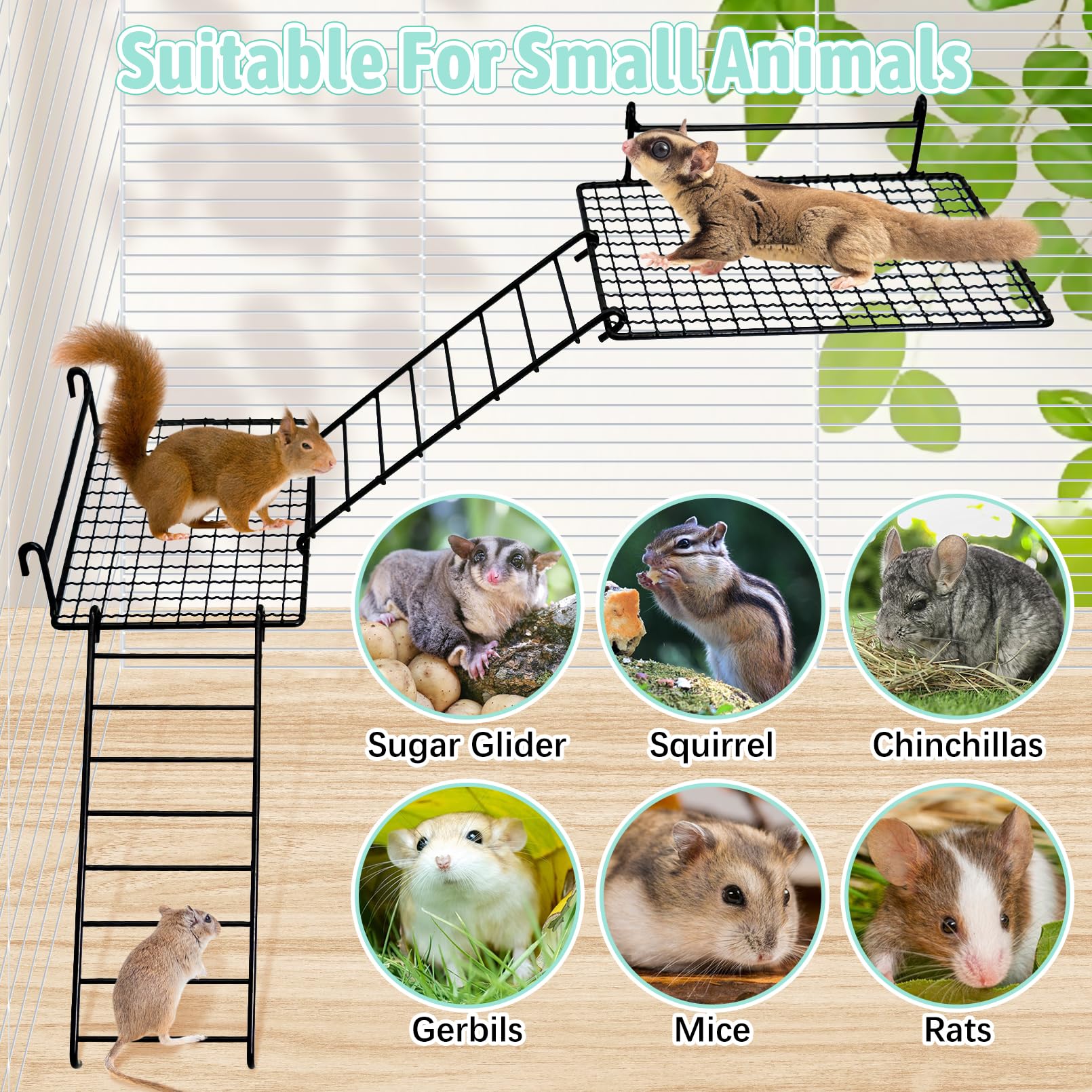 BNOSDM compact playground engages climbing, rest, and exploration for rodents.
