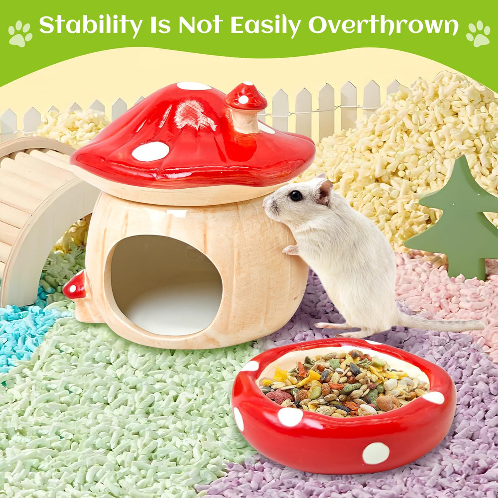 BNOSDM easy-clean ceramic hideout with opening top for quick maintenance.