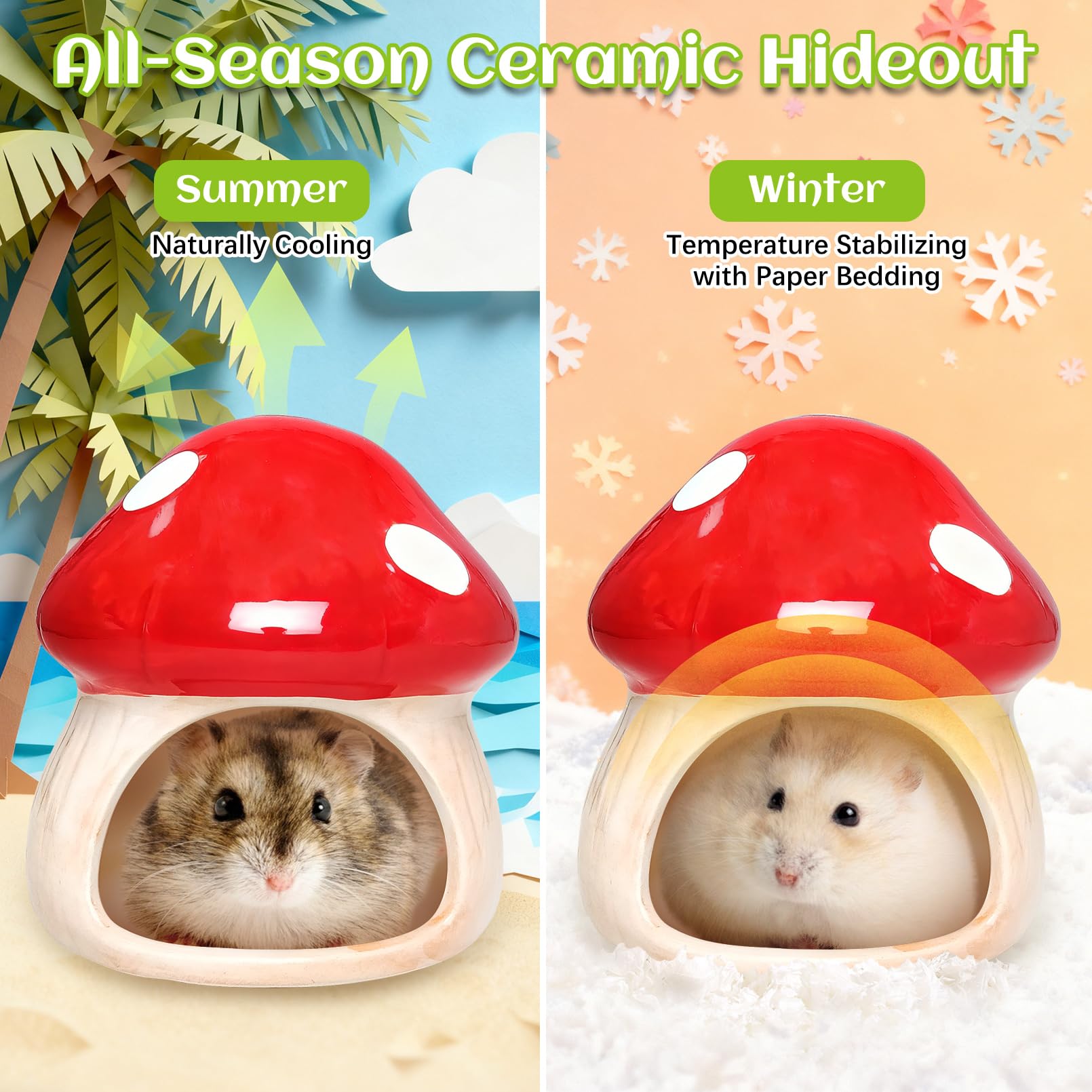 BNOSDM hamster hideout bite-resistant ceramic demonstrates sturdy play sessions