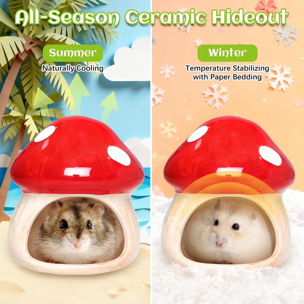 BNOSDM hamster hideout bite-resistant ceramic demonstrates sturdy play sessions