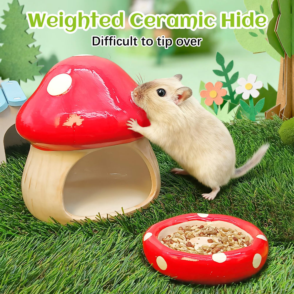 BNOSDM hamster hideout easy-clean surface supports quick wipe-down
