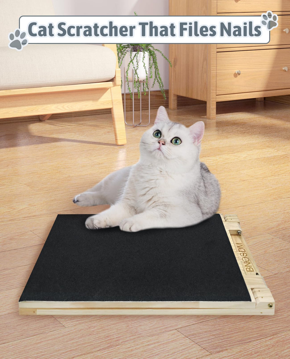 BNOSDM multi-surface application shows attachment to walls, litter box, and posts