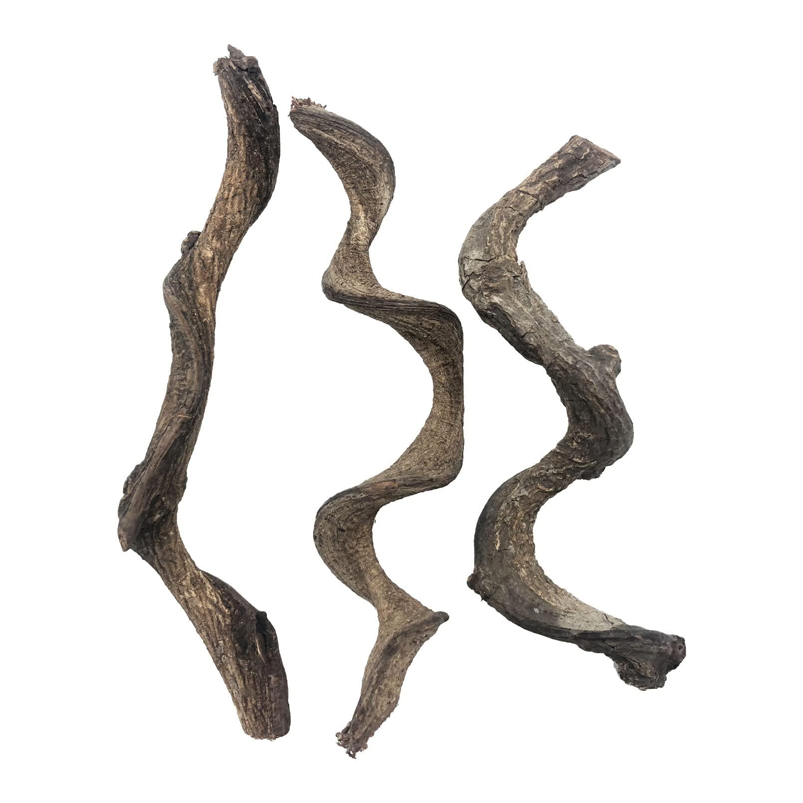 BNOSDM Reptile Decor Branch Forest natural climbing branch for bearded dragons