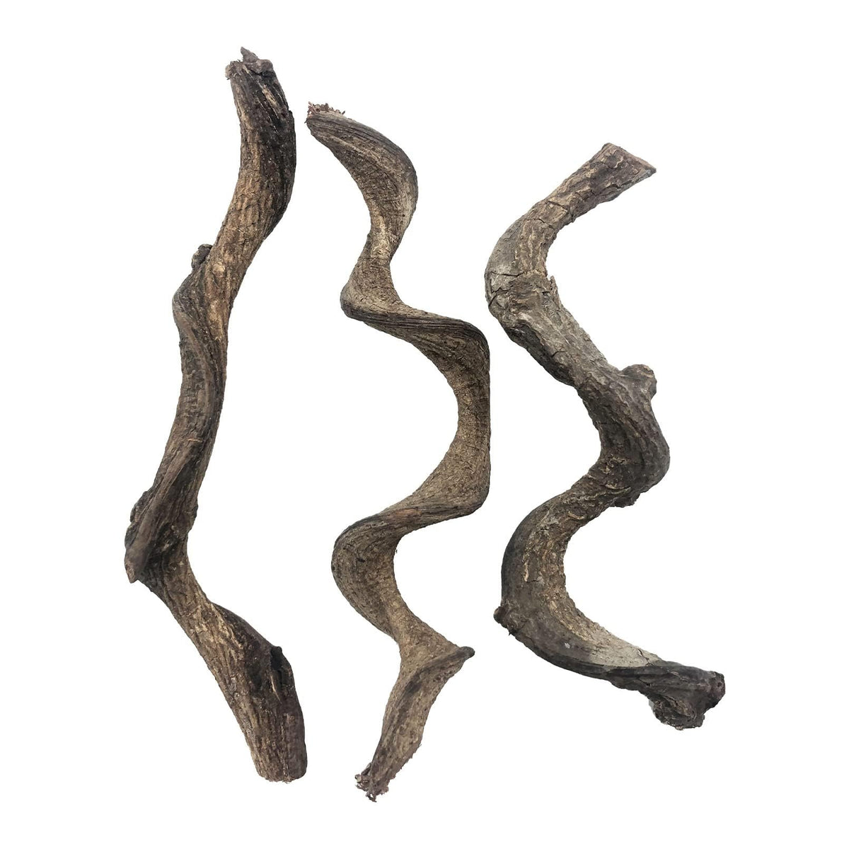 BNOSDM Reptile Decor Branch Forest natural climbing branch for bearded dragons