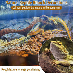 BNOSDM Reptile Decor Branch Forest textured branch for gecko enclosure