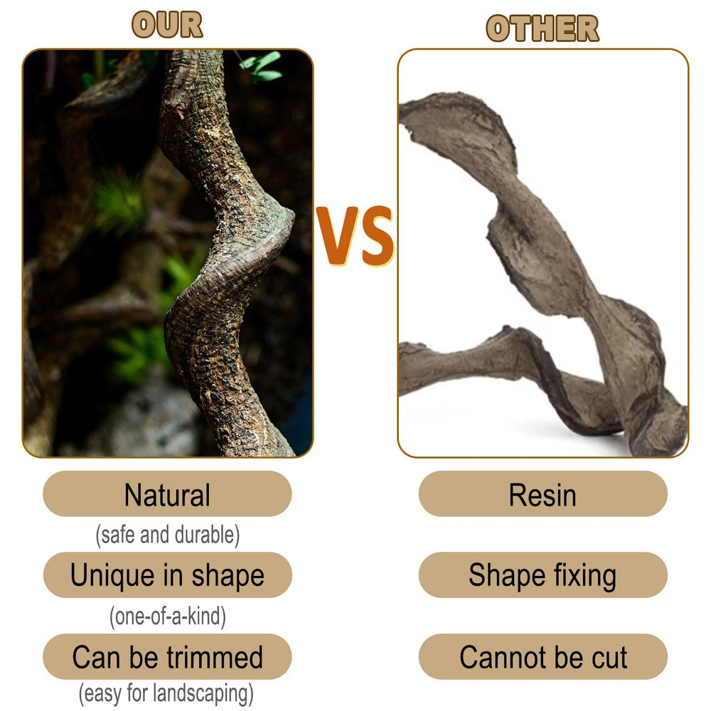 BNOSDM Reptile Decor Branch Forest natural wood for basking and enrichment
